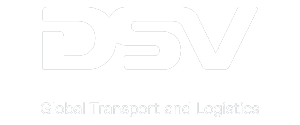 LG-_DSV