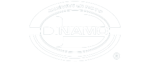 LG-_Dinamo