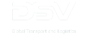 LG-_DSV
